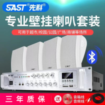Senko Wall-mounted Sound Shop Dining Hall Hung Wall Wall-mounted Sound Box Indoor Wireless Bluetooth Special Power Amplifier Suit Milk Tea Shop Shop Mall Supermarket store noodles Hanging Commercial Horn