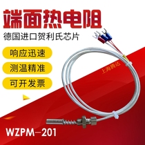 End Thermal Resistance WZPM-201 Bearing Temperature Measuring Probe pt100 Temperature Sensor Threaded Thermal Resistance Bearing