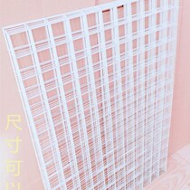 White mesh custom mesh mesh adhesive hook iron mesh shelf thick white mesh sub-wire mesh jewelry display