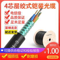 Yangye GYTA S layer twisted armored 4-core cable 8-core cable outdoor 48-core single-mode 12 24 36 72 96 144 288-core fiber optic cable outdoor 6