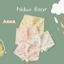 Nidor bear childrens underwear girls summer underwear cotton flat corner female baby middle child four corner shorts female child