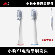 Puppy electric toothbrush brush head adult sonic vibration electric couple Home Wireless Rechargeable Y1 brush head