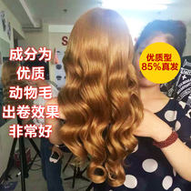 Head model real hair braid hair hair dummy head full real makeup shape can be scalded wig model head practice head model