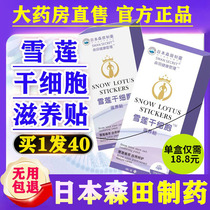 Japans Morita Snow Lotus paste pads can be used with traditional Chinese medicine detox pads private maintenance paste official flagship store xl