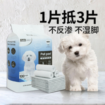 WQW Dog urine pad thickens deodor dog diaper pet diaper cushion with water absorption pad guided to the toilet