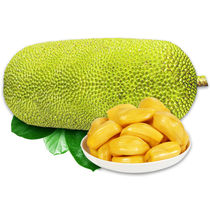 38-43kg of current pick and delivery Hainan Sanya jackfruit fresh fruit in the season a whole yellow