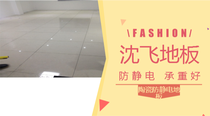 Zhuhai Shen Fei full steel antistatic activity floor Zhuhai Shen Fei floor