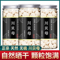 Chuanbei mother grain Chinese herbal medicine official flagship store authentic Chuanbei dried Tibetan Fritillaria powder non-wild premium Songbei cough relief