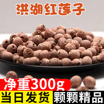  Lotus root lotus mud Red Lotus 300g cored red skin lotus seeds sulfur-free glutinous lotus seeds Red Lotus seeds powder Glutinous soup Lotus seeds