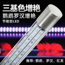 Luo Han fish special light fish tank special led light bar fish light fish tank parrot fish light color color light red dragon lighting light