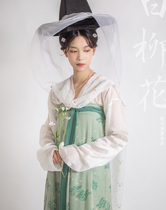 Song Junting 2021 new product restoration printing Tang Hanfu suit hanging collar shirt simulation silk twelve broken skirts
