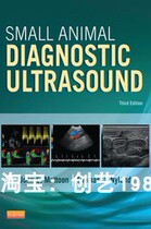 Small natural Diagnostic Ultrasound electronic book light