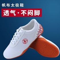 wu shu xie men tai ji xie tpr canvas summer martial arts play Taijiquan lian gong xie children training shoes