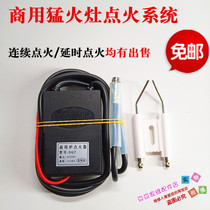 Commercial stove hot stove with 220V pulse igniter High Voltage package high energy ignition needle ignition rod combustion machine accessories