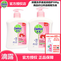 Dipper hand sanitizer 500g moisturizing double protection rose fragrance health antibacterial cleaning oil control for men and women children home