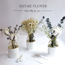  Starry dried flowers immortal flowers small bouquet flowers Room decoration Net red Nordic decoration Ceramic vase home real flowers