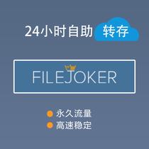 filejoker takefile file al daofile novafile 5G-300G traffic package