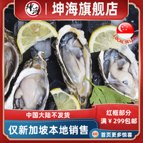 (Yummy-Hunter) Frozen oysters 10 packs Singapore local delivery