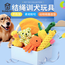 Dog toy molars bite-resistant small dog bite knot knots pet puppies Teddy Bears cotton rope supplies