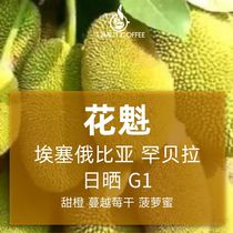 Jerman Ethiopia Hanbera Oiran Sun G1 Boutique Coffee Bean powder Half pound Ear fruit