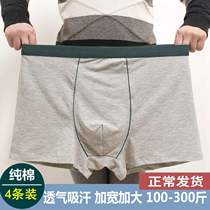 Three-gun mens plus fat increase pure cotton underwear easy fattening guy with four-corner shorts full cotton big code