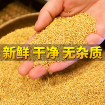 Bird grain new yellow millet small and medium-sized parrot feed bird food with Shell millet tiger skin Xuanfeng peony food 5kg