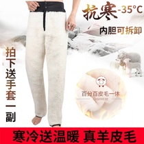 Winter middle-aged and elderly wool pants men plus velvet padded sheepskin cotton pants leather warm cold pants