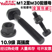 10 Class 9 high strength T-shaped T-shaped screw Screw rod bolt T-groove platen screw 12M16M18M20M24