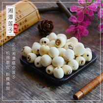 Min Fei Xiangtan Ground lotus seed dry goods without core 500g fresh farm specialty grade white lotus inch three lotus through the heart to the core