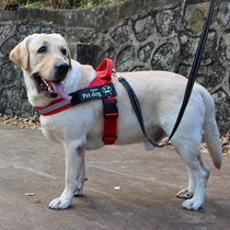 Webbing widened and thickened explosion-proof dog chest strap Labrador golden hair medium large dog leash