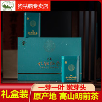 Dog Gunao Tea 2021 New Tea Mingqianqi Green Tea Treasures Super Alpine Tea Mid-Autumn Festival Gift Boxed Tea