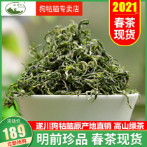 Jiangxi Gou Gunao Tea 2021 New Tea on the market Mingchen Premium Green Tea Bulk Alpine Fragrant Type 250g