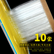 The sticky mouse board is a powerful catch and catch the mouse trap.