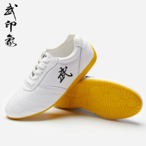 Tai Chi shoes female beef tendon bottom leather winter martial arts shoes female Tai Chi high-end brand Tai Chi shoes male practice shoes