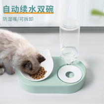 Cat water dispenser flowing unplugged drinking artifact eating and drinking water one automatic double bowl pet cat food basin