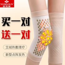  Yu Zhaolin summer thin and warm knee pads old and cold legs air conditioning room men and women wormwood paint cover joint pain and fever