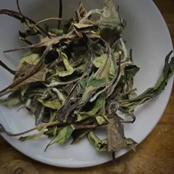 磻溪荒野老树寿眉-磻溪荒野老树寿眉促销价格、磻溪荒野老树寿眉品牌- 淘宝