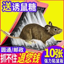 Sticky mouse board Strong household mouse paste rat extermination Rat trap Rat repellent Stick rat artifact Sticky mouse board glue nest end