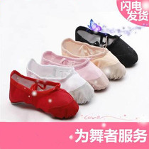 Adult you er tong dance shoes for boys and girls dancing ballet shoes soft mao zhua xie lian gong xie form full