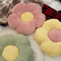 Seventeen do not sell books plush flower cushion pillow cushion bedroom chair cushion thickened dormitory students comfortable
