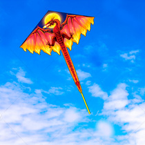 New kite 2021 New kite breeze easy fly big kite adult dinosaur Kite kite wheel