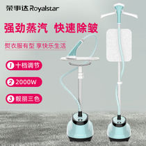 Rongshida steam ironing machine household iron ironing clothes small handheld ironing machine hanging vertical electric iron hot bucket