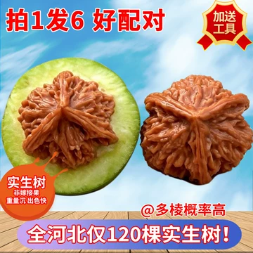 三棱文玩核桃对-三棱文玩核桃对促销价格、三棱文玩核桃对品牌- 淘宝
