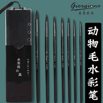Giorgione 7-pack animal hair watercolor painting pen set Adult professional art dedicated beginner painting Pointed hook line pen Stroke pen Gouache brush Acrylic oil painting pen Pigment brush