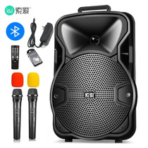 Sony Ai sa-t18 Square Dance Audio 8 Inch Teaching Training Family Singing Bluetooth Rod Speaker Outdoor Audio