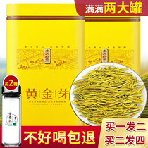 Zhejiang authentic golden Bud tea 2021 new tea before the rain Super Anji white tea gift box bulk Alpine green tea