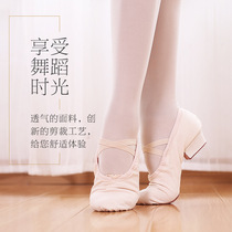 Creative dance lace heel soft belly dance shoes Latin dance shape shoes car adult ballet shoes custom jz