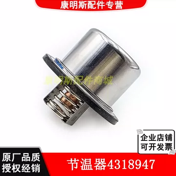 4318947调温器-4318947调温器促销价格、4318947调温器品牌- 淘宝