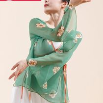 2022 Latest Classical Dance Fluor Clothing National Wind Dance Training Dunhuang Dance Blouses Rehearsal for a dress