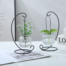 Креативный железный каркас гидропоника зеленая стеклянная ваза сосуд в офисе рабочий стол зеленая посадка современные украшения